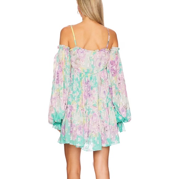 Rococo Sand Ivy Mini Dress - Picture 2 of 4